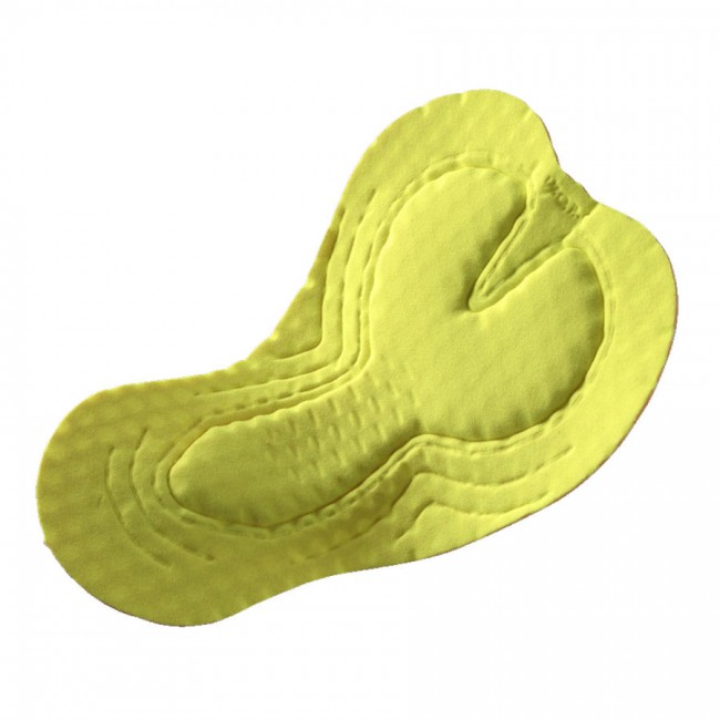 Dames Fietskleding Ale Team Jayco Alula 2024 PRS Dames Bib Shorts Dames Fietskleding Ale Team Jayco Alula 2024 PRS Dames Bib Shorts