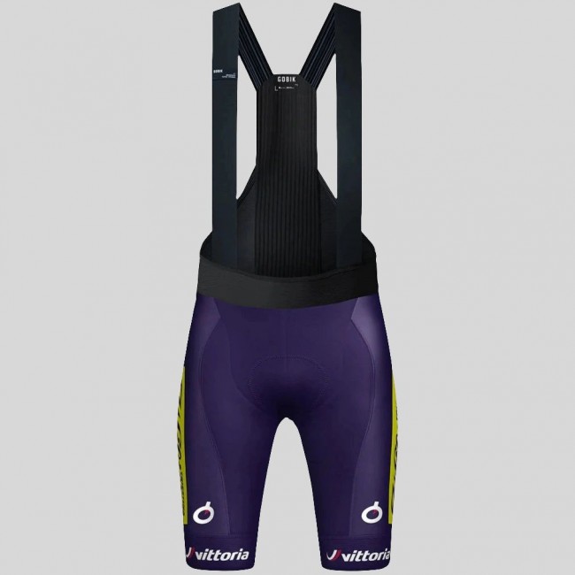 Heren Fietskleding Gobik Wilier Vittoria 2025 Absolute Print K10 Bib Tights