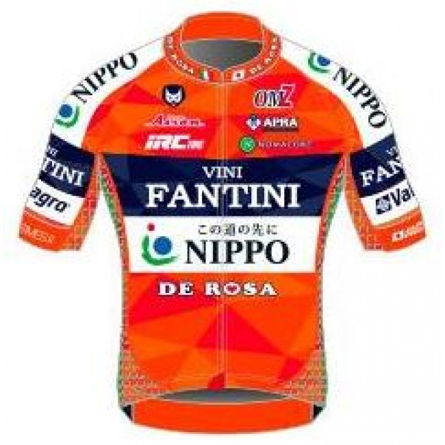 2017 Vini Fantini Nippo Wielershirt Met Korte Mouwen